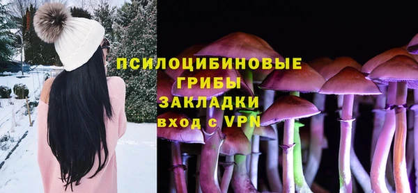 2c-b Алексин