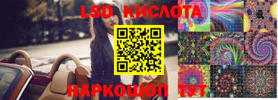 Альфа ПВП Кингисепп