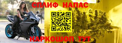 Альфа ПВП Кингисепп