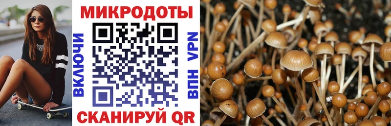Псилоцибиновые грибы Psilocybine cubensis Шадринск