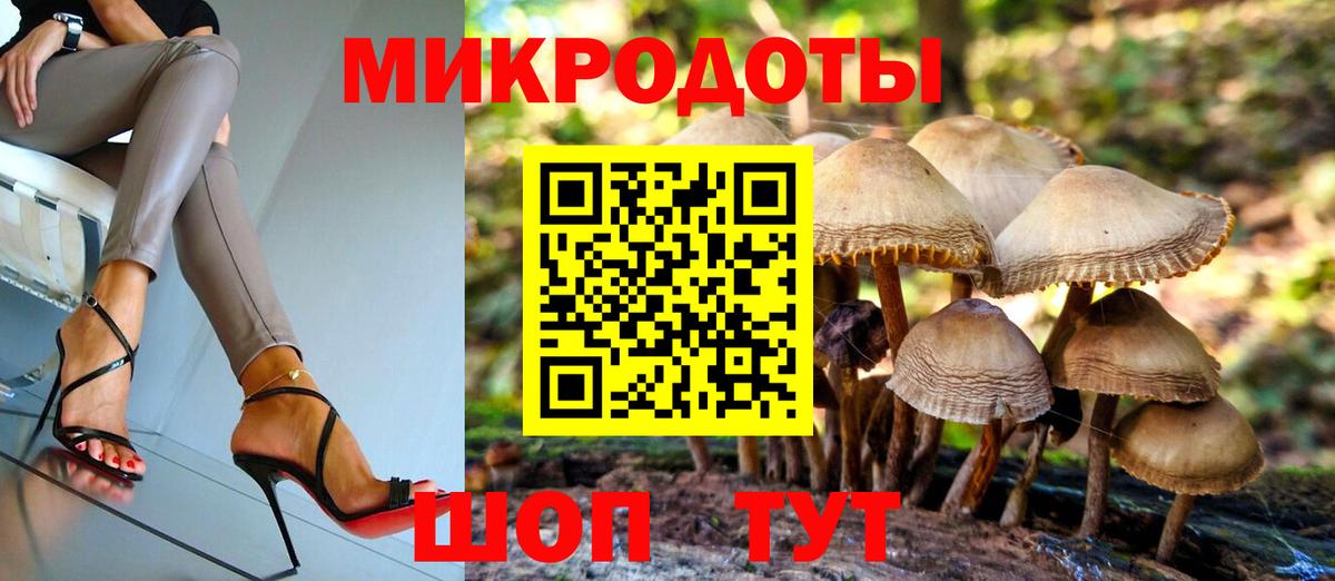 Шадринск  Псилоцибиновые грибы мухоморы  Вход с VPN  купить наркотики сайты  Псилоцибиновые грибы Psilocybine cubensis 