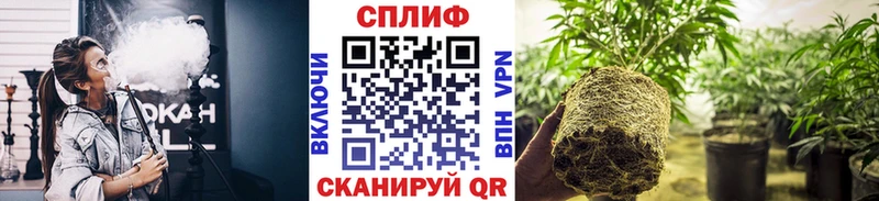 mega онион  Шадринск  МАРИХУАНА гибрид  цена наркотик 