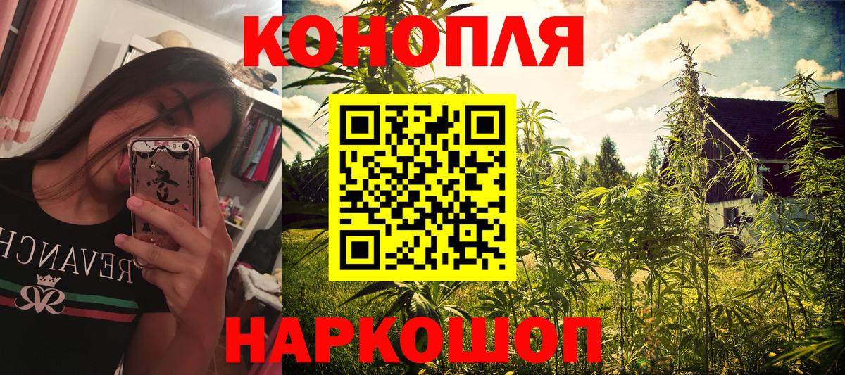 Бошки Шишки план Шадринск